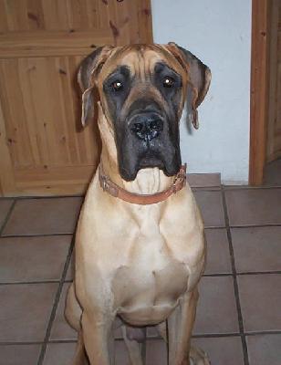 Uzzo Des Terres De La Rairie