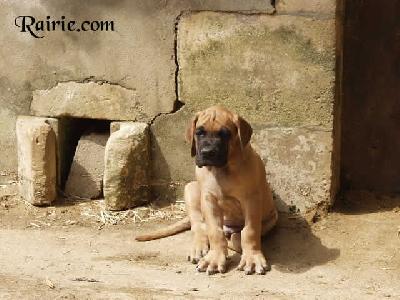 Uzzo Des Terres De La Rairie