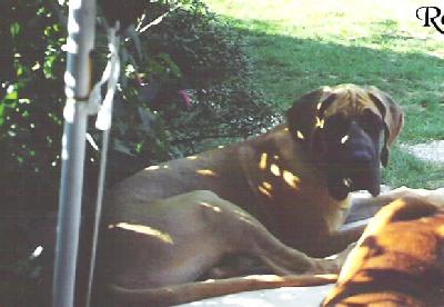 Uzzo Des Terres De La Rairie