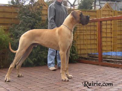 Uzzo Des Terres De La Rairie