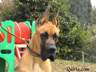 Uljas Des Terres De La Rairie