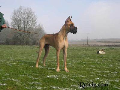 Uljas Des Terres De La Rairie
