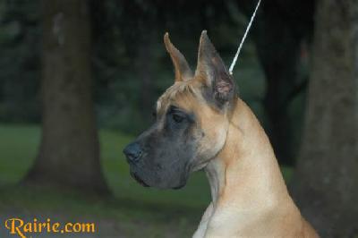 Ualina Des Terres De La Rairie