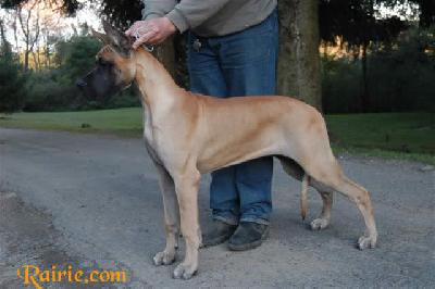 Ualina Des Terres De La Rairie