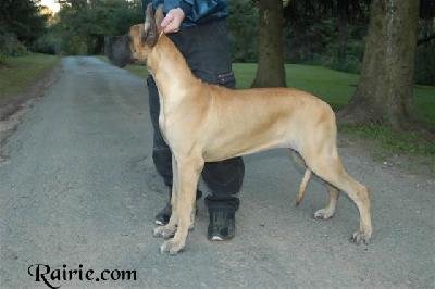 Ualina Des Terres De La Rairie