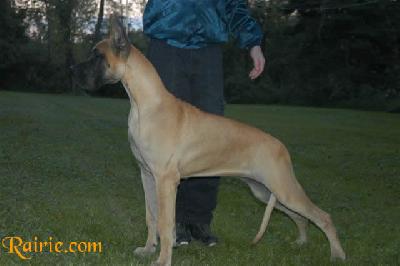 Ualina Des Terres De La Rairie