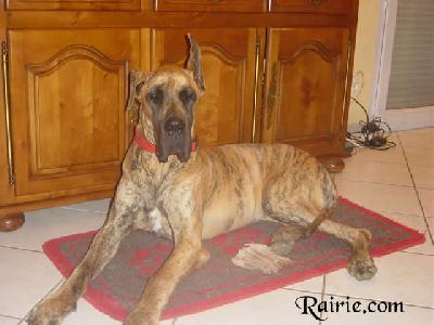 Ulysia Des Terres De La Rairie