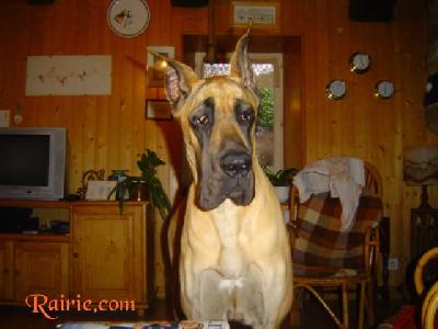 Urawa Des Terres De La Rairie