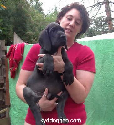 Edwin Von Der Osterau