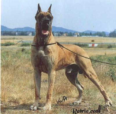 Kevin Von Ferndorftal