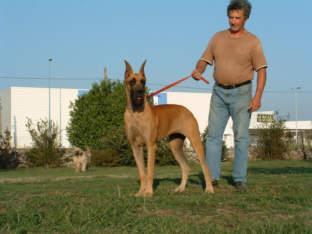 Taylor Des Terres De La Rairie