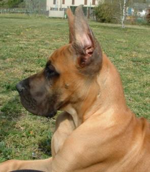 Taylor Des Terres De La Rairie