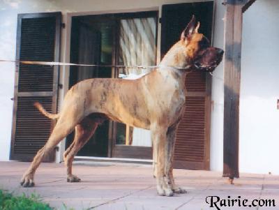 Taisonn Des Terres De La Rairie