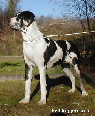 Sensacja Des Terres De La Rairie