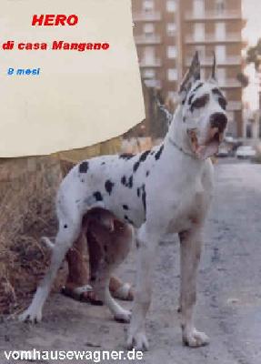 Hero-a Di Casa Mangano