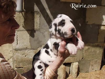 Ulon�as Des Terres De La Rairie