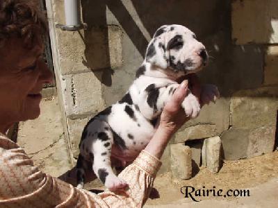 Ulon�as Des Terres De La Rairie