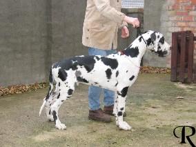 Ulon�as Des Terres De La Rairie