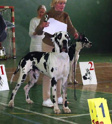 Ulon�as Des Terres De La Rairie