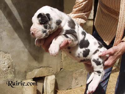 Usumacinta Des Terres De La Rairie