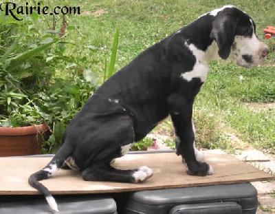 U�jodie Des Terres De La Rairie