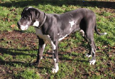 U�jodie Des Terres De La Rairie