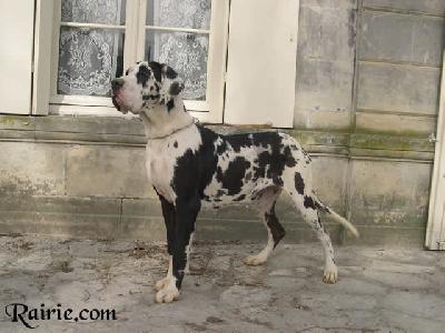 Udivine Des Terres De La Rairie