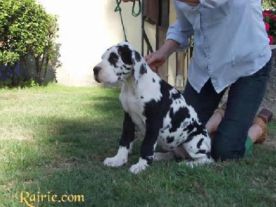 Udivine Des Terres De La Rairie