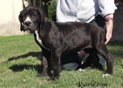 Ursula Des Terres De La Rairie