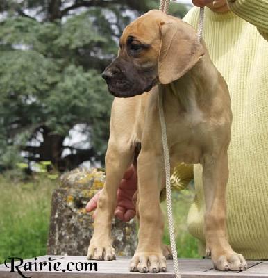 Unika Des Terres De La Rairie