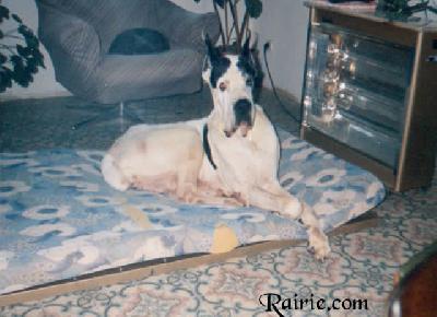 Mounty De La Carpentellerie