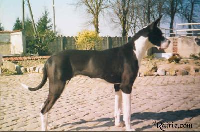 Jixia De La Carpentellerie