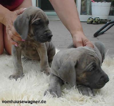 Lana Vom Hause Wagner