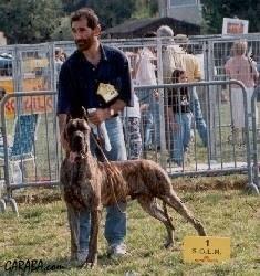 Ch Atrellu De Garaba