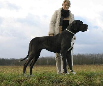 Xillia Von Schlesien