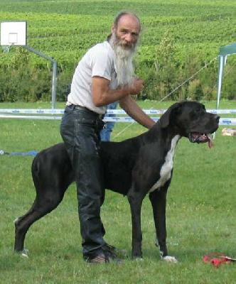 Xillia Von Schlesien