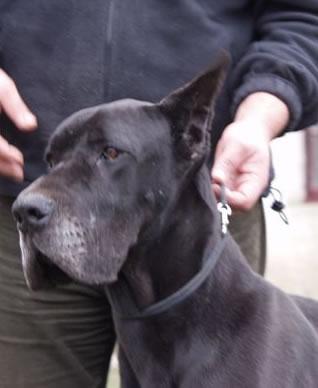 Ramunchow Des  Terres De La Rairie