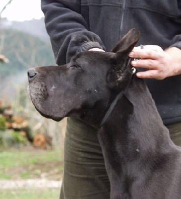 Ramunchow Des  Terres De La Rairie