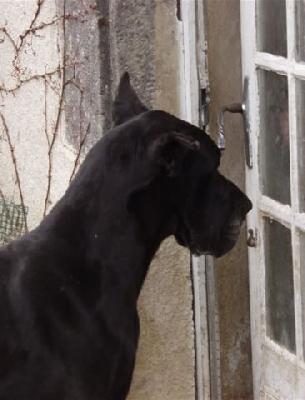 Ramunchow Des  Terres De La Rairie