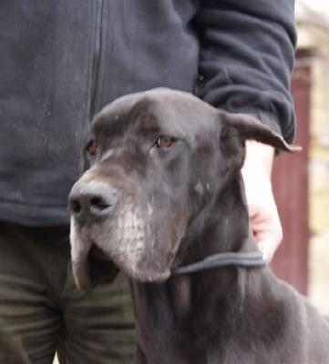 Ramunchow Des  Terres De La Rairie