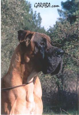 Bourbon De Vi�azas