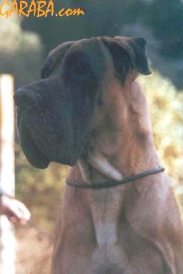 Bourbon De Vi�azas