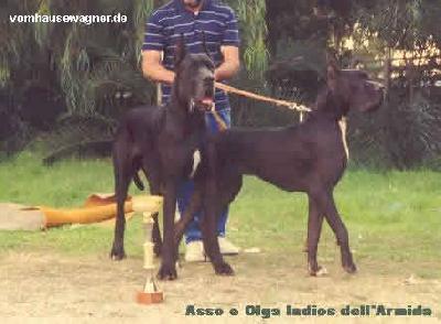 Olga-n Indios Dell� Armida