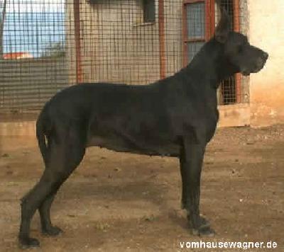 Concita-n Dell� Alto Reno