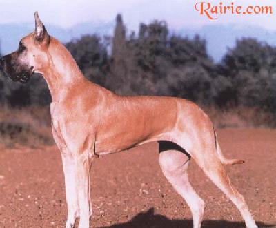 Lais Des Habits Rouges