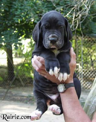 Uranus Des Terres De La Rairie