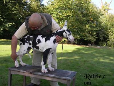 Umiele Des Terres De La Rairie