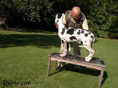 Umiele Des Terres De La Rairie