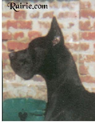 Onassis Des Terres Des Apollons De L�acr