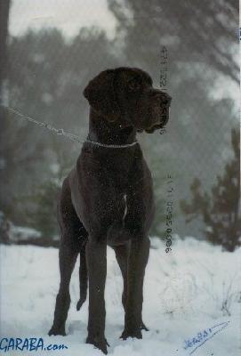 Mike Du Val De L�amitie